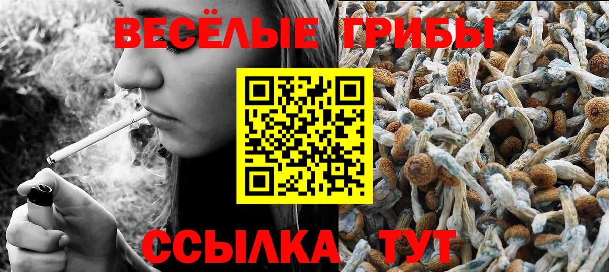 Галлюциногенные грибы мицелий Хасавюрт